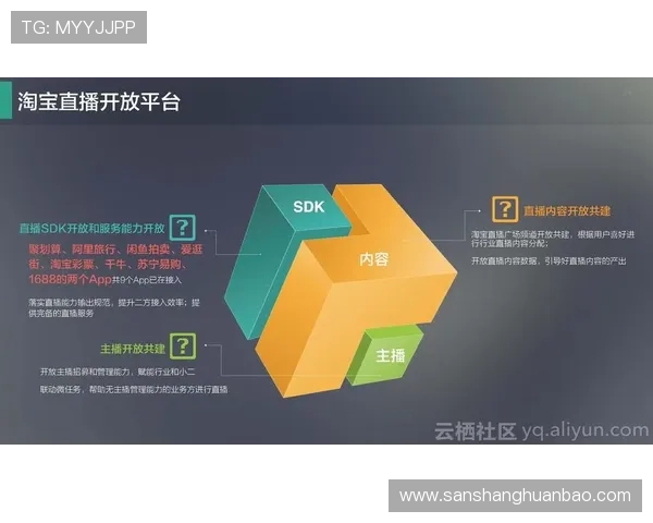 开云金年会平台网页版实现企业年会全程线上监控与实时互动的操作技巧与案例分析