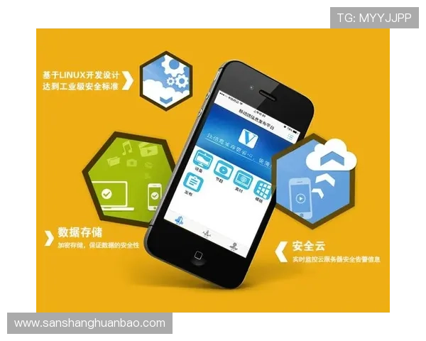 云开体育app官网登录入口安全验证流程，确保用户账号信息安全与登录顺畅体验